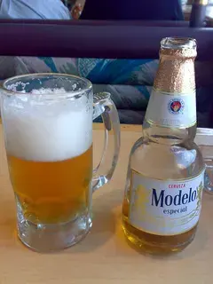 Modelo